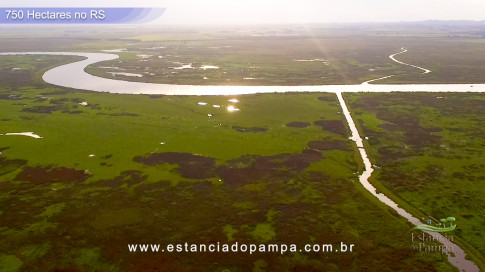 Os Tiranos - Bailando o chamamé [VDownloader].00_03_49_07.Quadro024_cdef73ae6942c865a73dbaee02242edab19b62e1.jpg